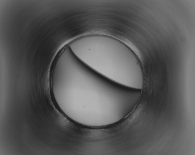 X0000088130988200705140953