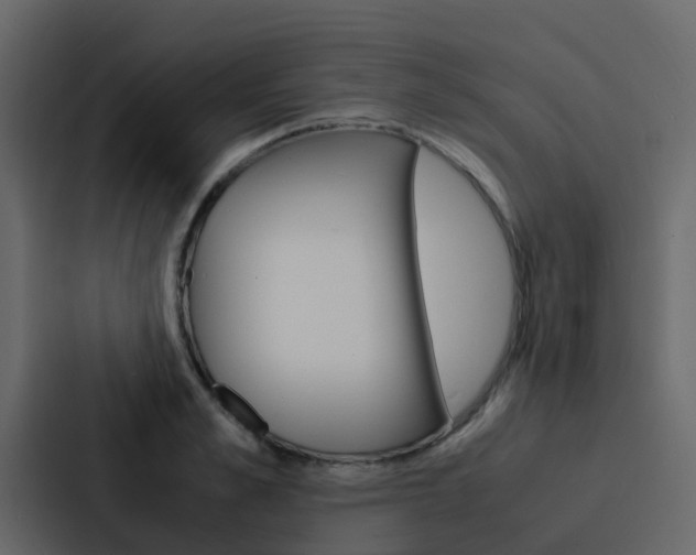 X0000088130989200705140953