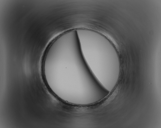 X0000088130991200705140953