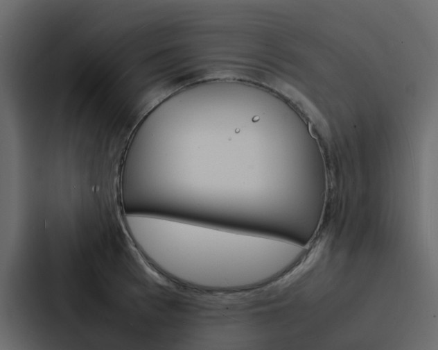 X0000088130993200705140953