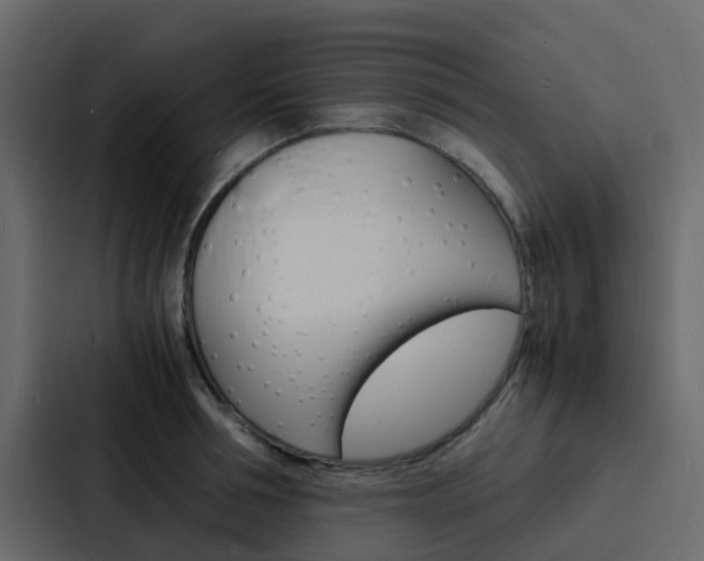 X0000088130994200705140953