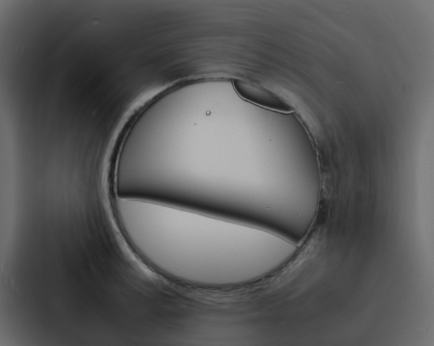 X0000088130995200705140953