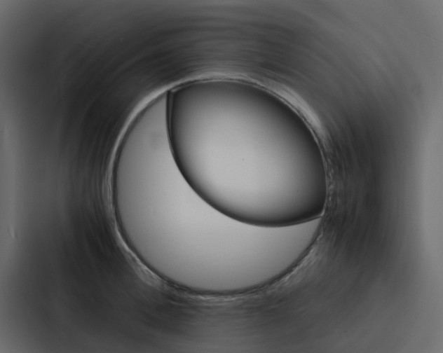 X0000088130996200705140953