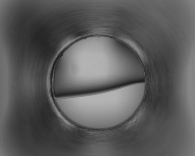 X0000088130999200705140953