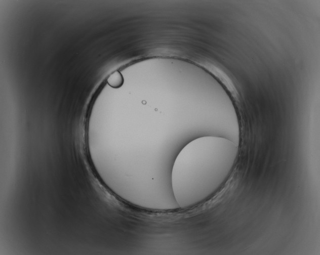 X0000088131000200705140953