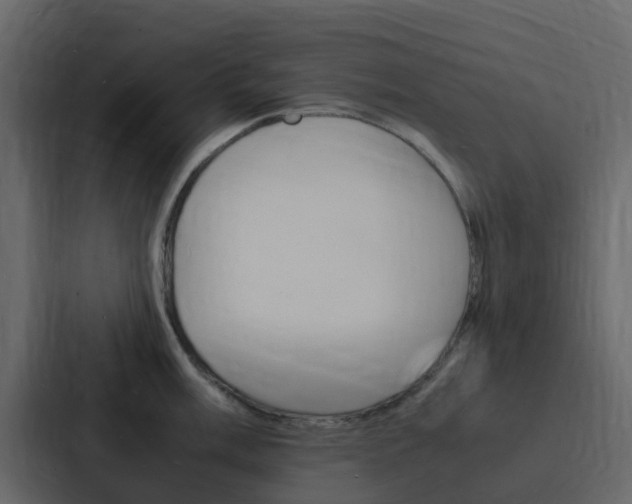 X0000088131003200705140953