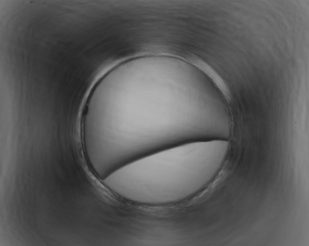 X0000088131004200705140953