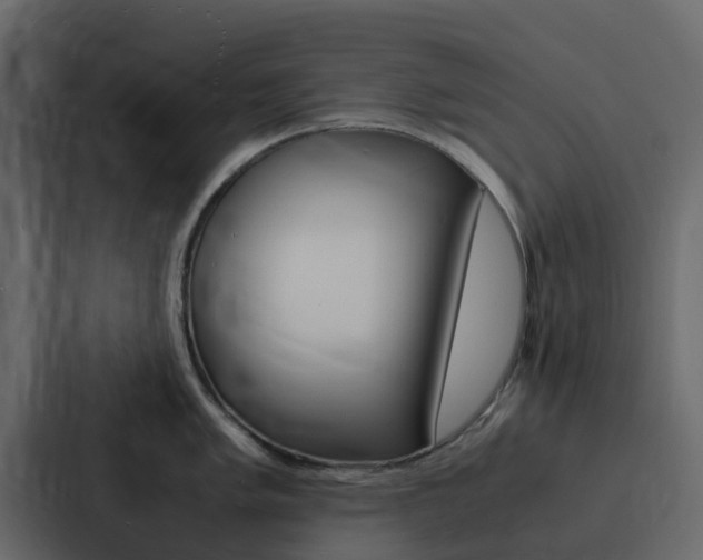 X0000088131005200705140953