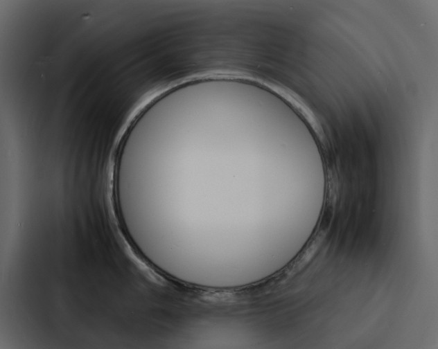 X0000088131006200705140953