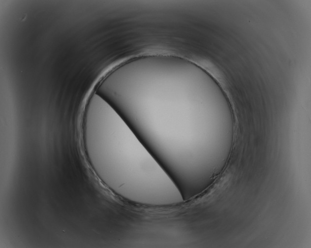 X0000088131008200705140953