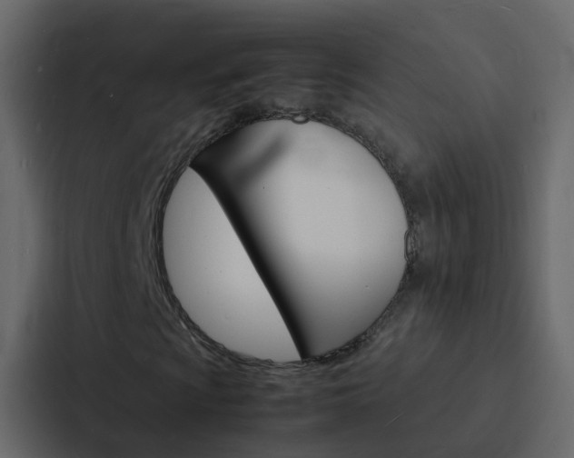 X0000088131009200705140953