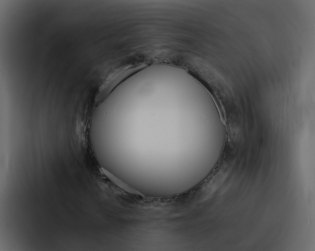 X0000088131010200705140953