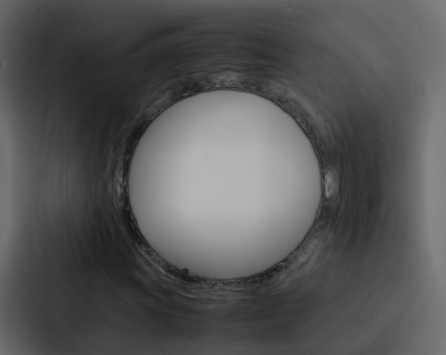 X0000088131011200705140953