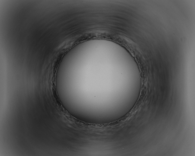 X0000088131014200705140953