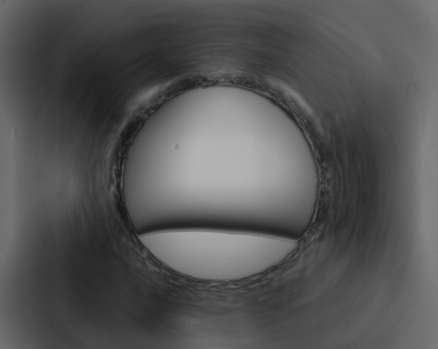 X0000088131016200705140953