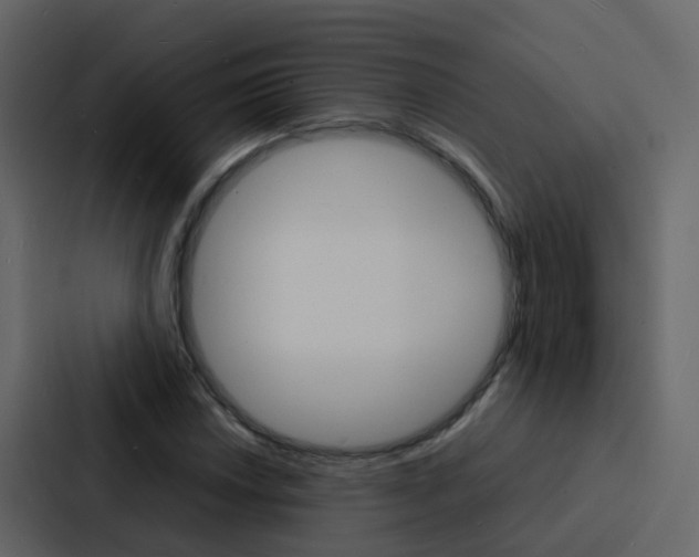 X0000088131018200705140953