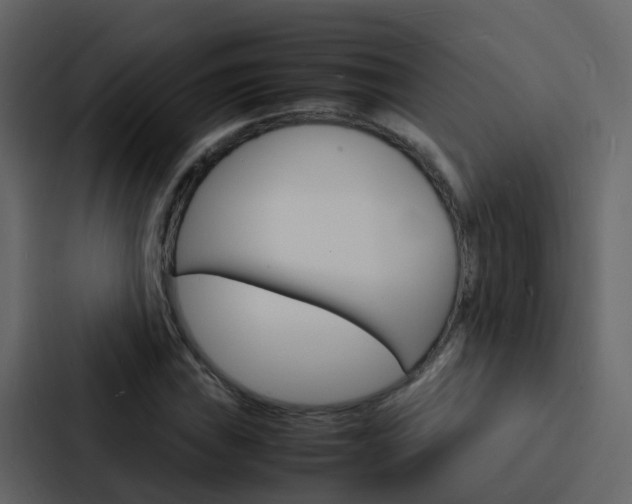 X0000088131019200705140953