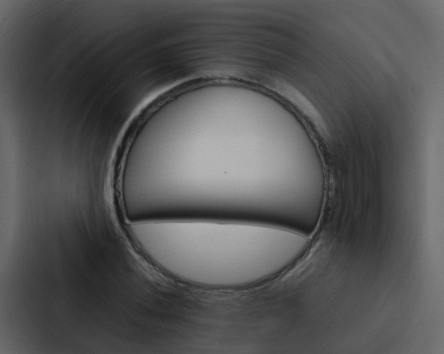X0000088131020200705140953