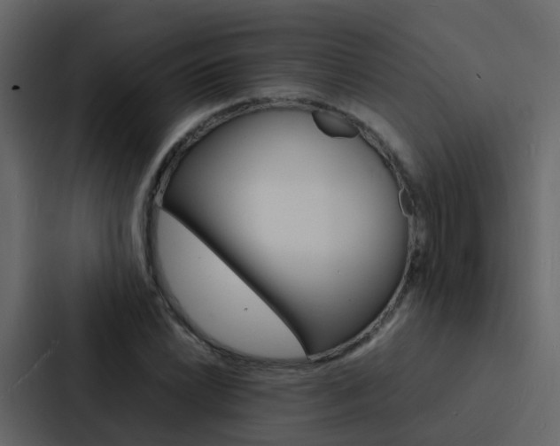 X0000088131022200705140953