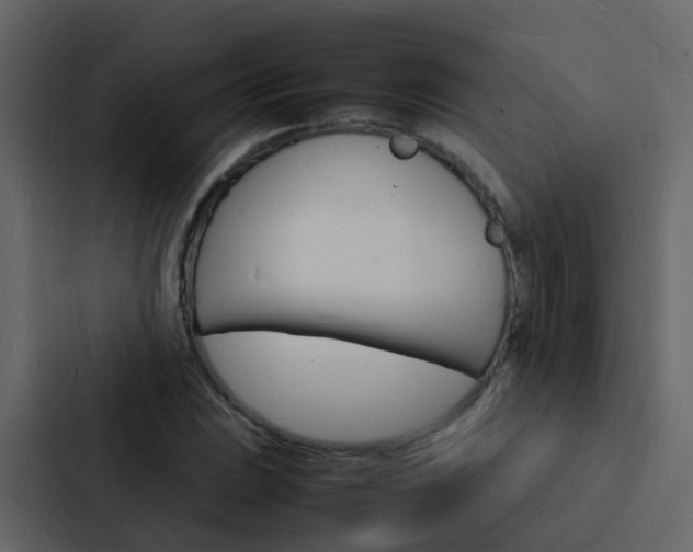 X0000088131023200705140953