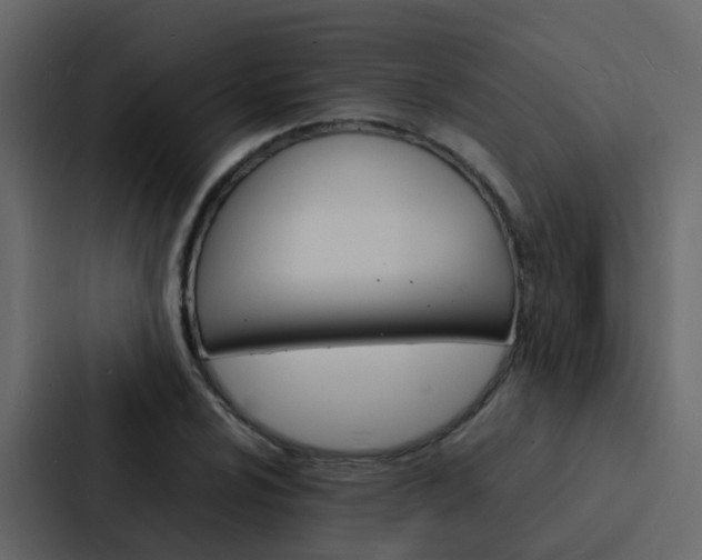 X0000088131024200705140953