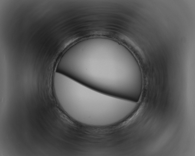 X0000088131025200705140953