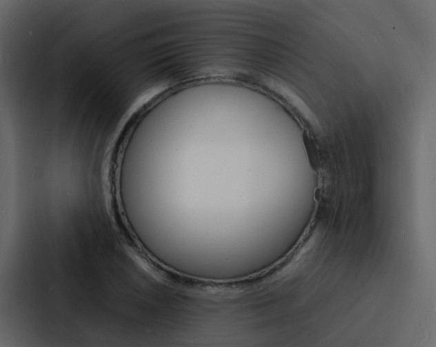X0000088131026200705140953