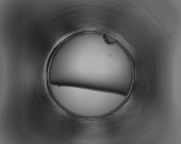 X0000088131028200705140953