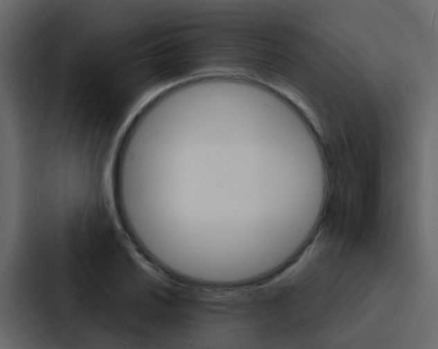 X0000088131030200705140953