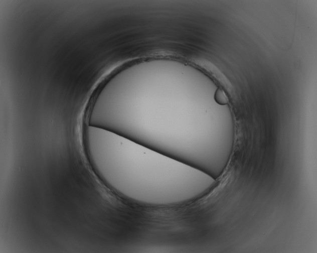 X0000088131031200705140953