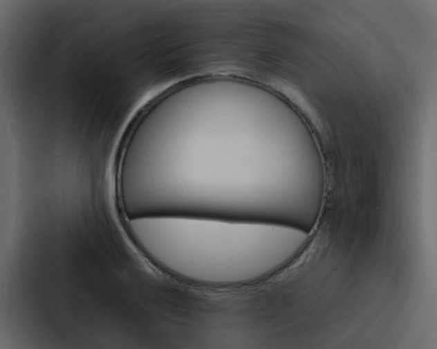 X0000088131032200705140953