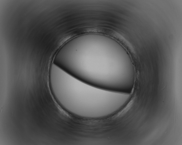 X0000088131033200705140953
