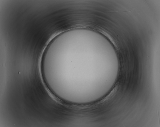 X0000088131034200705140953