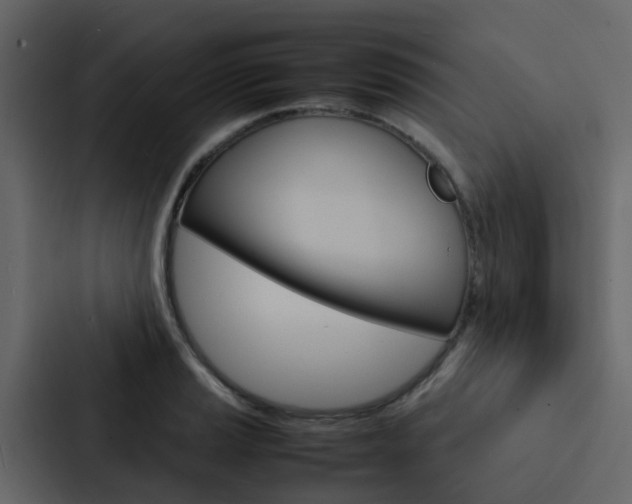 X0000088131037200705140953