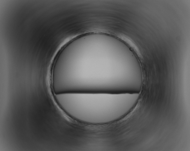 X0000088131040200705140953