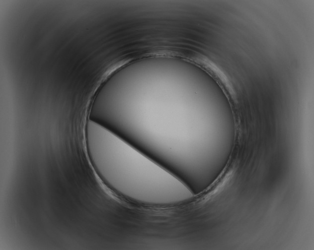 X0000088131041200705140953