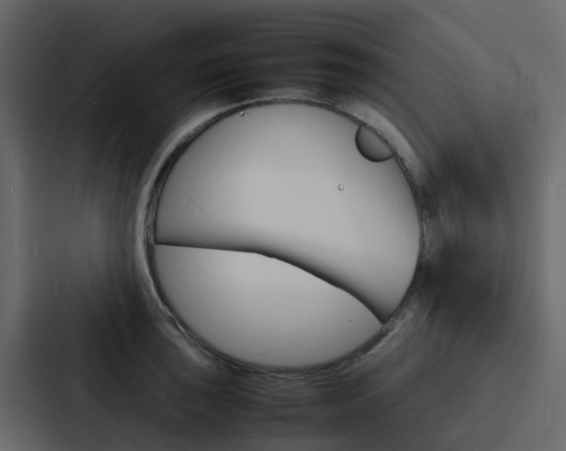X0000088131043200705140953