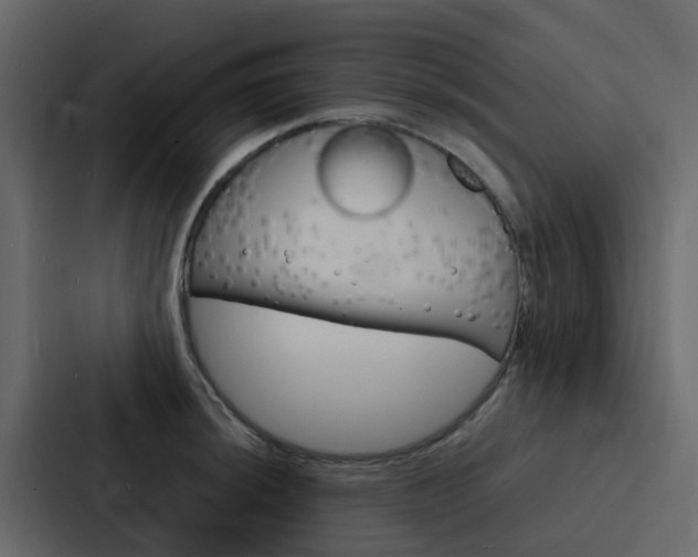 X0000088131044200705140953