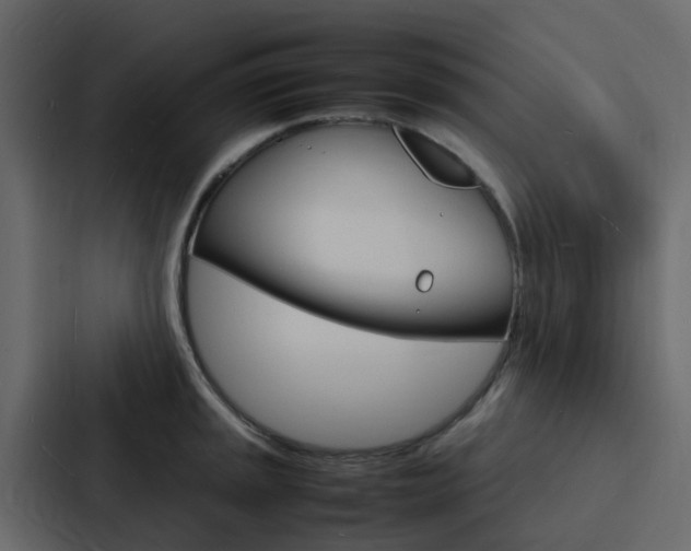 X0000088131045200705140953
