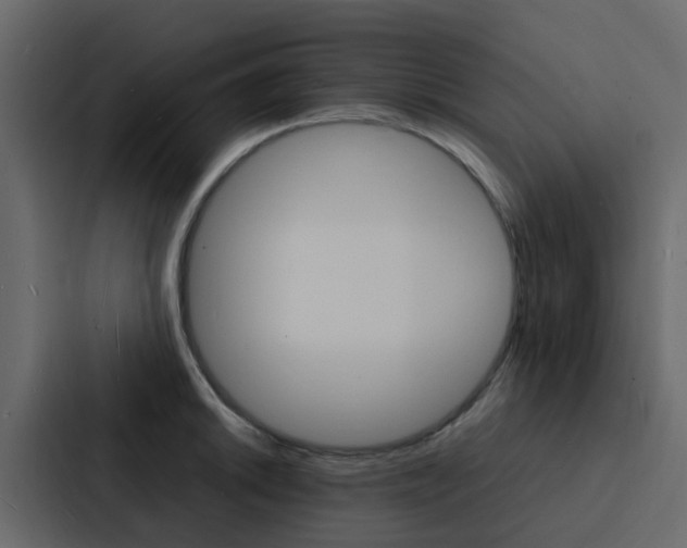 X0000088131046200705140953