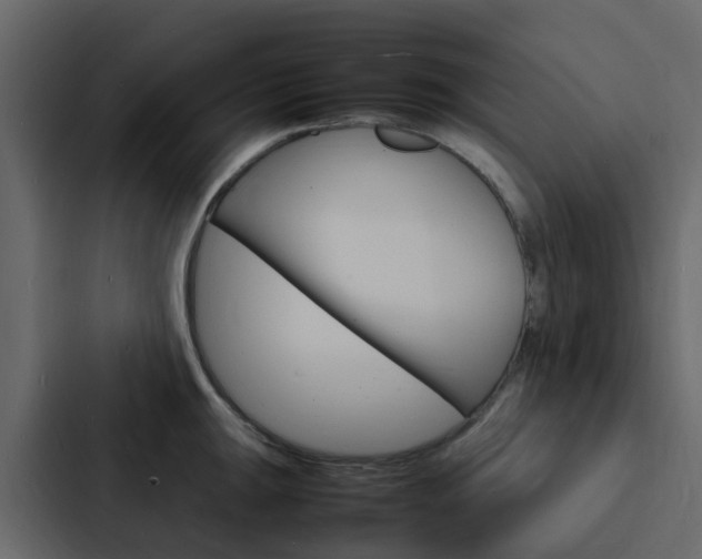 X0000088131047200705140953