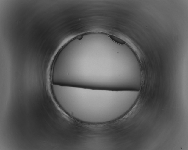 X0000088131048200705140953