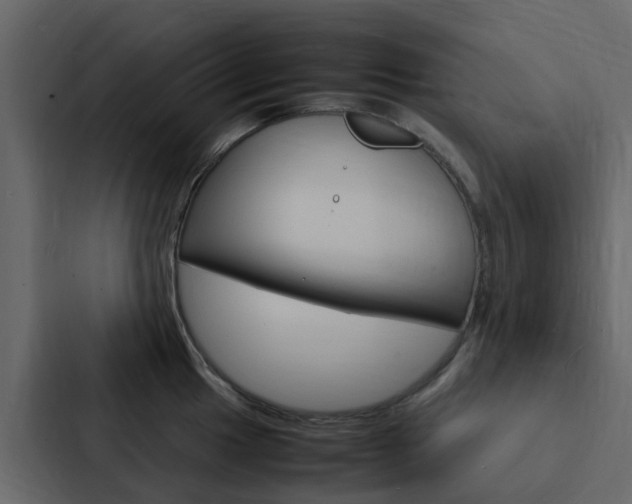 X0000088131049200705140953