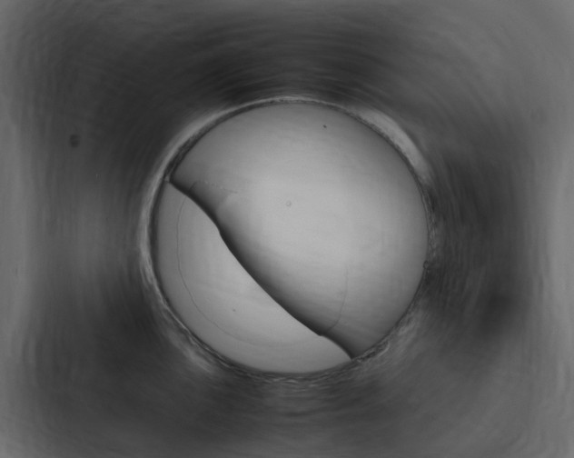 X0000088131051200705140953