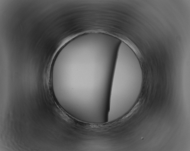 X0000088131052200705140953