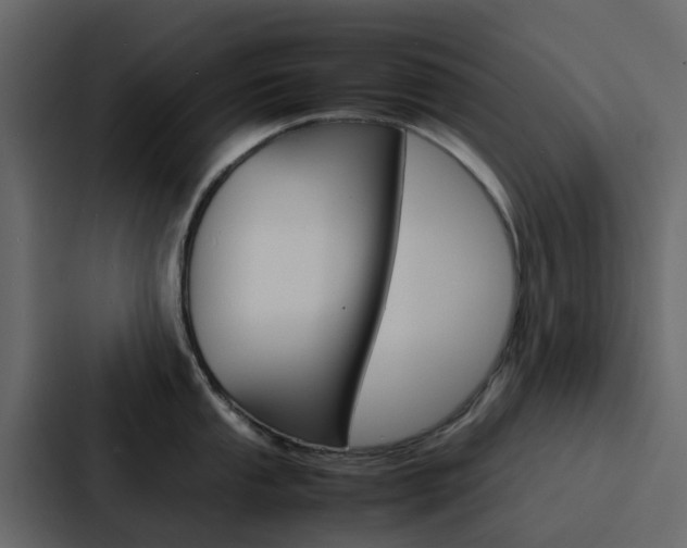 X0000088131053200705140953