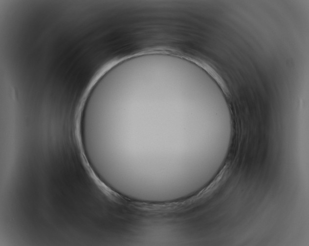 X0000088131054200705140953