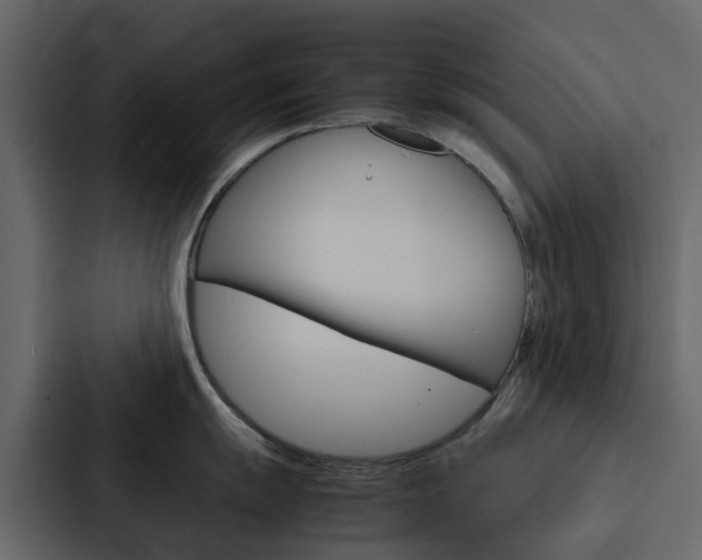 X0000088131055200705140953