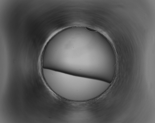 X0000088131056200705140953