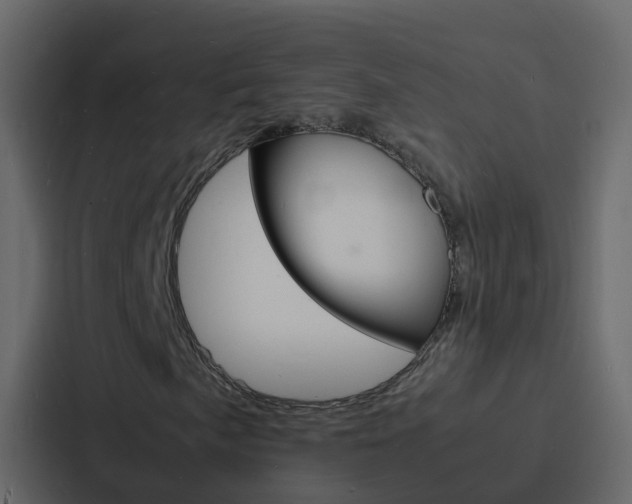 X0000088131057200705140953